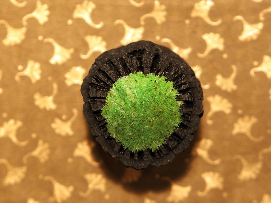 Asaya Hotel Нико Екстериор снимка A green Starburst
